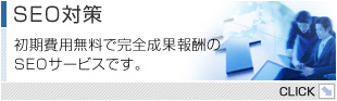 SEO΍